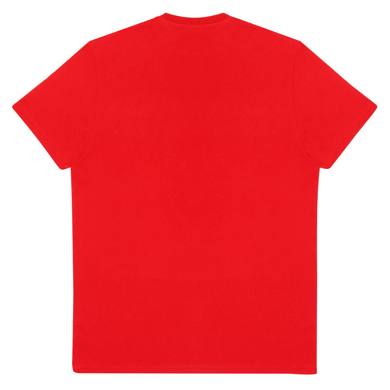 DC Flash - Logo - T-Shirt