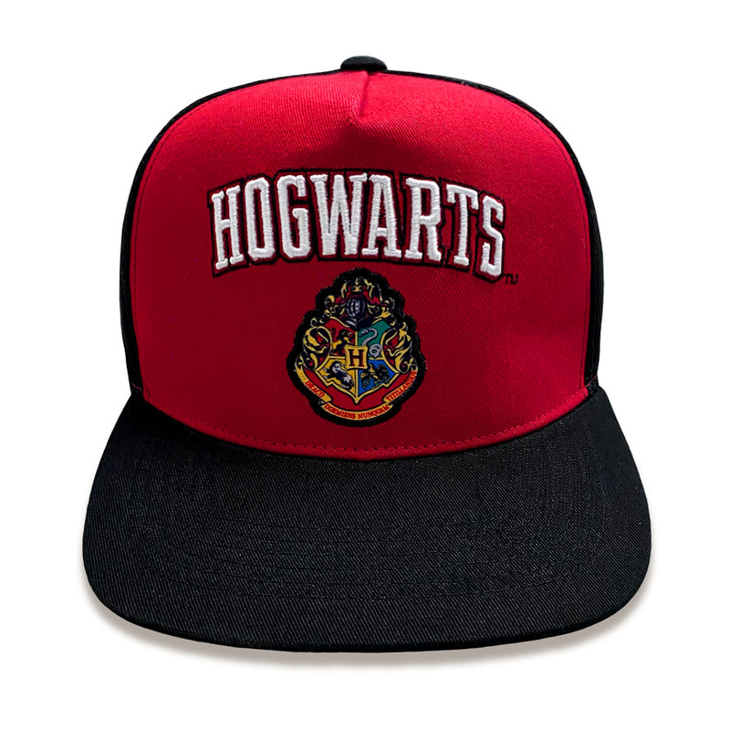 Harry Potter - College Hogwarts - Cap Snapback